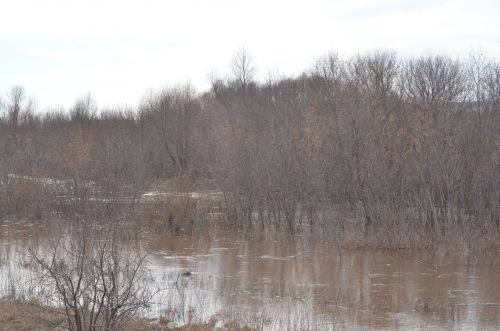 Убинцы не ждут большой воды