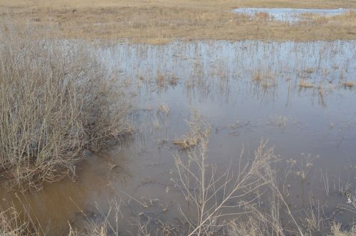 Убинцы не ждут большой воды