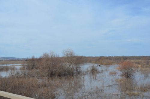 Убинцы не ждут большой воды