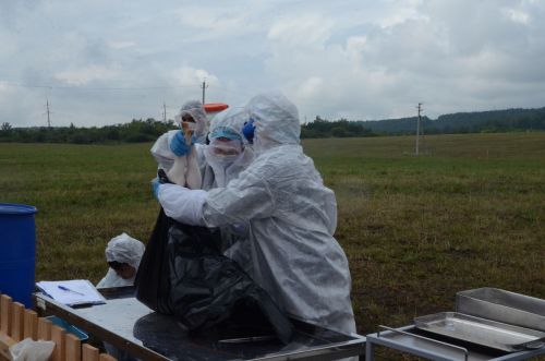 В городе Бавлы прошли межрегиональные ветеринарные учения