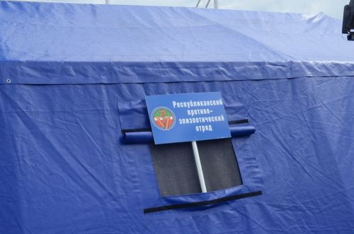 В городе Бавлы прошли межрегиональные ветеринарные учения