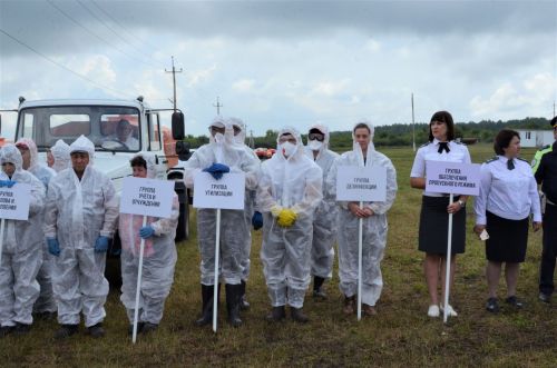 В городе Бавлы прошли межрегиональные ветеринарные учения
