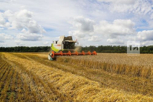 Аграрии Бавлинского района на стадии завершения зерноуборочной кампании