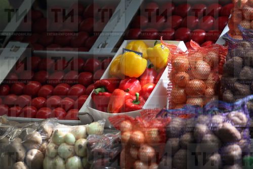 Помидор белән бәрәңге һәм яман шеш арасында нинди бәйлелек бар?