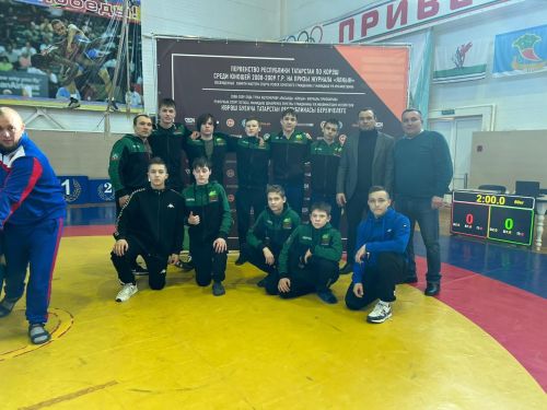 Бавлинские борцы среди призеров республики