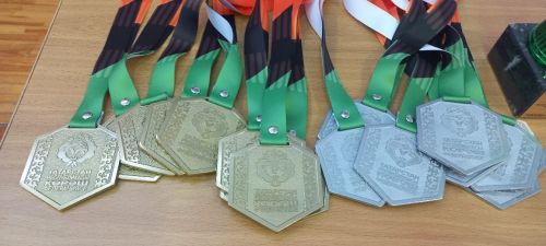 Бавлинские борцы среди призеров республики