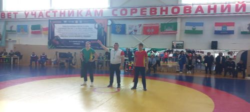 Бавлинские борцы среди призеров республики
