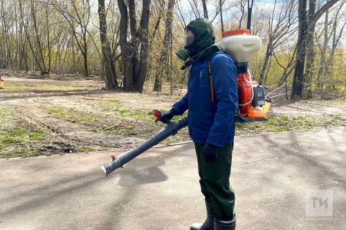 В Бавлах начнется противоклещевая обработка общественных пространств