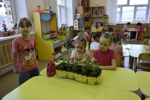 В бавлинском детском саду появился «Огород на подоконнике»