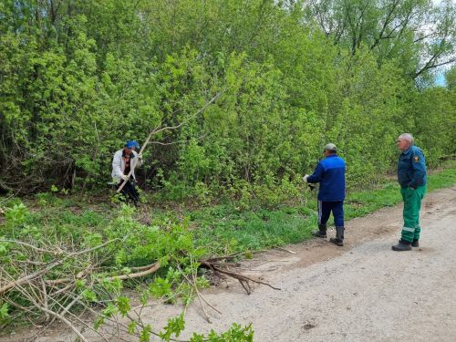 Яңа Чүте авылында зур өмә оештырылды