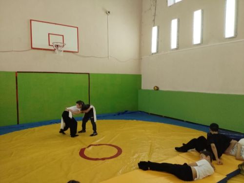 В Бавлинском районе прошёл школьный турнир по борьбе