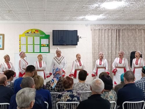 В Бавлах состоялся концерт «Осень жизни — золотой»