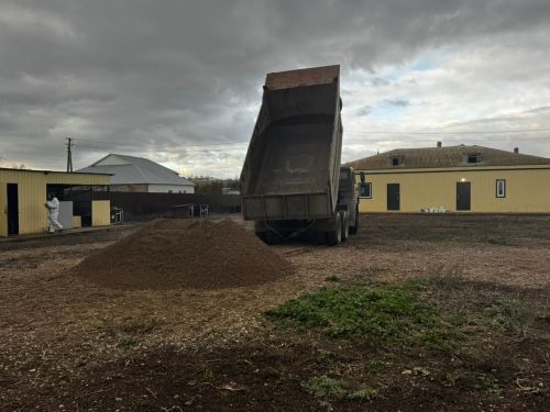 Бавлинцы помогли центру защиты бездомных животных
