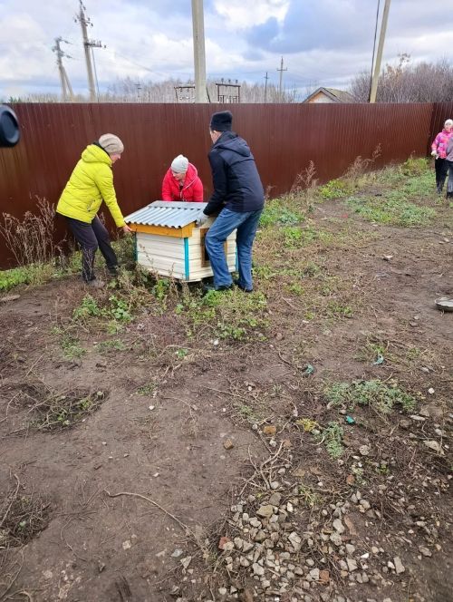 Бавлинцы помогли центру защиты бездомных животных