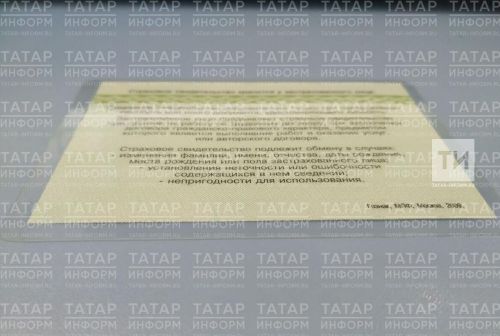 Росреестр Татарстана объяснил важность СНИЛС при получении услуг