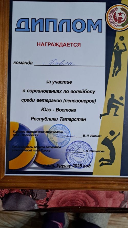 Волейболисты Юго-Востока Татарстана почтили память Героя Советского Союза Фатыха Шарипова