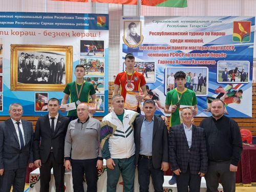 Бавлинские борцы среди победителей