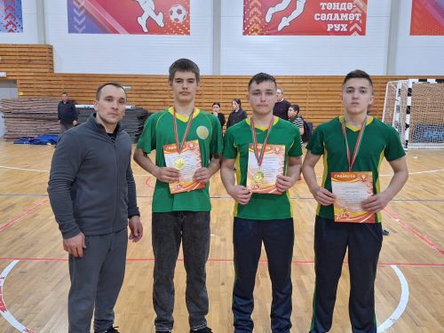 Бавлинские борцы среди победителей