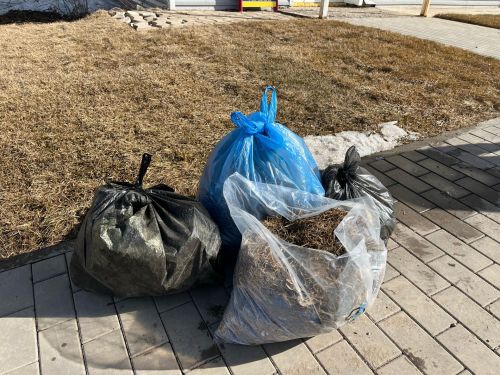 Коллектив «Бавлы-информ» вышли на уборку улицы