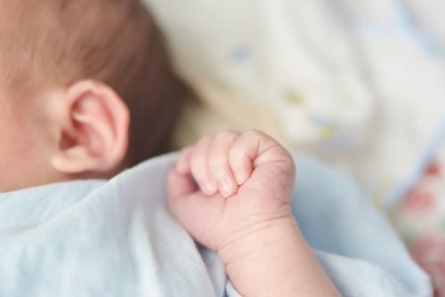 Баулы ЗАГС бүлегендә февраль аенда теркәлүчеләр саны