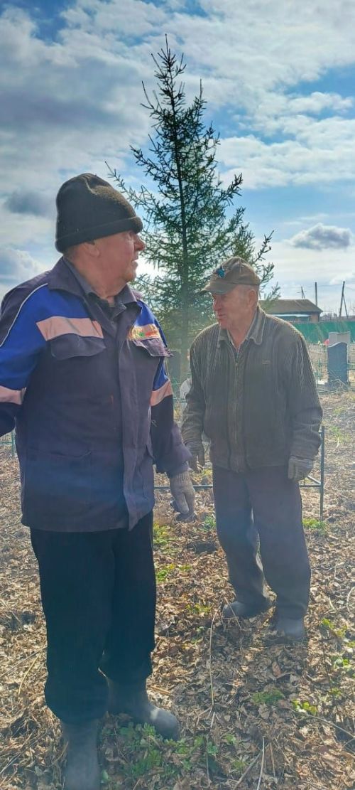 Татар Томбарлысы зиратында зур өмә оештырдылар