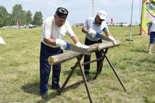 Әбиләр Сабан туе кунаклар җыйды
