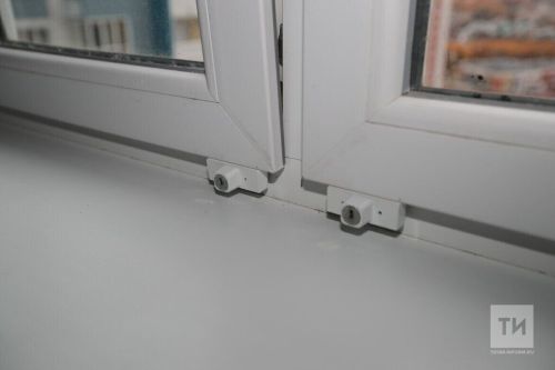 Өйне чиста тоту серләре