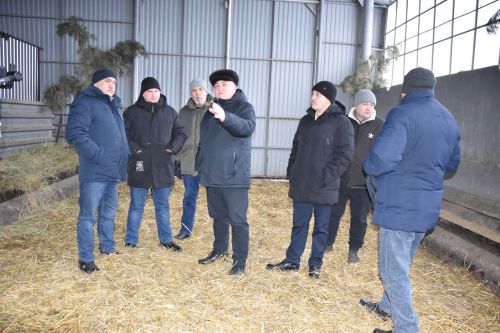 Баулы районы фермеры: “Хөкүмәт кайсы якка бора, без шулай эшләргә тырышабыз”