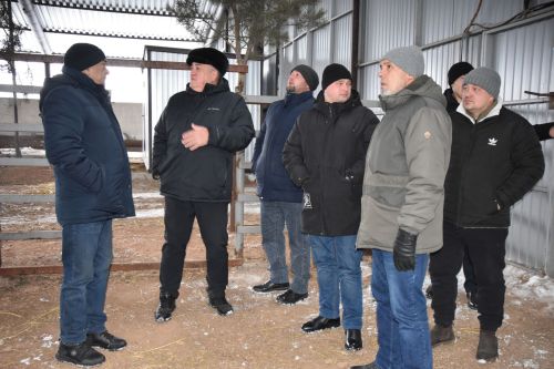 Баулы районы фермеры: “Хөкүмәт кайсы якка бора, без шулай эшләргә тырышабыз”
