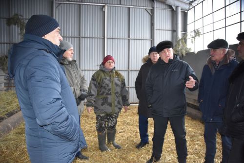 Баулы районы фермеры: “Хөкүмәт кайсы якка бора, без шулай эшләргә тырышабыз”