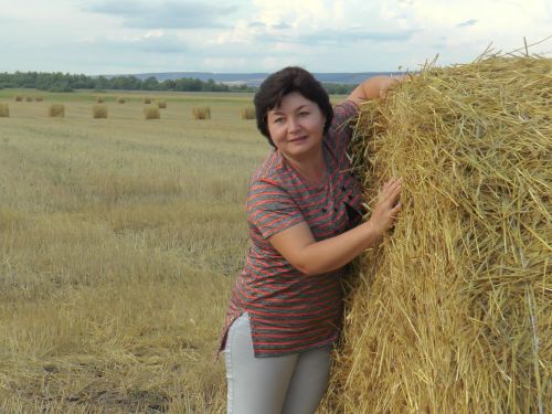 23 гыйнварга сынамышлар