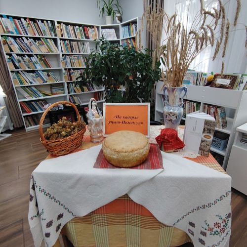 Баулы районы өлкәннәре китапханәгә җыелганнар