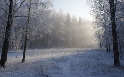 В 2026 году ОГЭ для девятиклассников пройдёт в три этапа