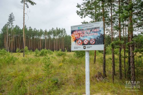 В Татарстане планируют ввести особый противопожарный режим с 25 апреля