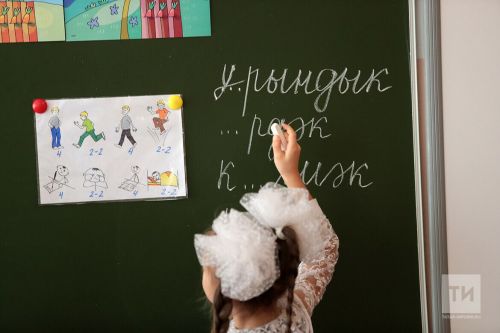 Запись в первый класс: родители Бавлинского района могут подать заявление через Госуслуги