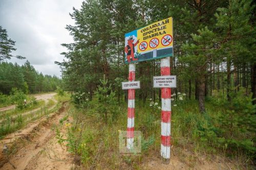 Бавлинцев предупреждают: наступает пожароопасный период