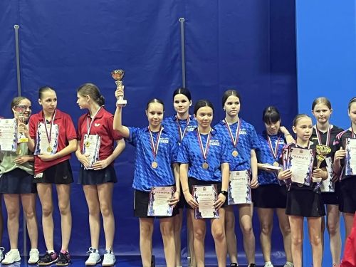 Бавлинские спортсмены отличились на первенстве ПФО по настольному теннису