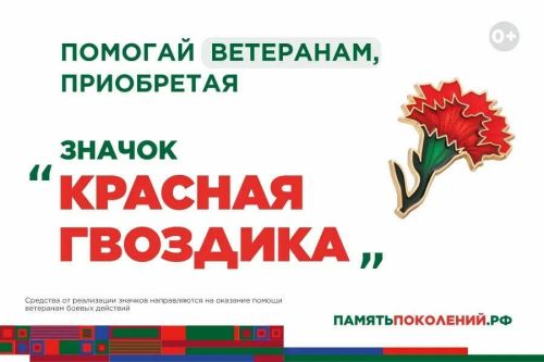 Всероссийская акция «Красная гвоздика»: в Татарстане идет поддержка ветеранов