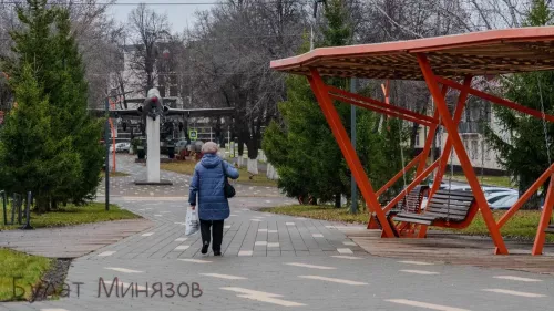 Жители Бавлинского района могут проголосовать за создание тематического парка
