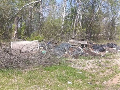 Баулыда экологик рейдлар дәвам итә