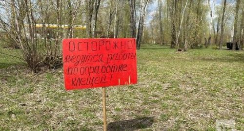 Талпан тешләсә – анализ тапшыр