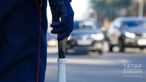 Автоэксперт: при столкновении с животным на дороге обязательно вызывайте ГИБДД