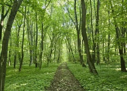 Переменная облачность и до +27 °С: прогноз погоды в Татарстане на 9 июня