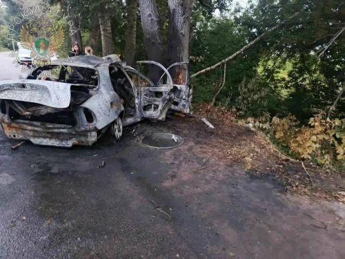 В Зеленодольском районе в ДТП погибли шесть подростков