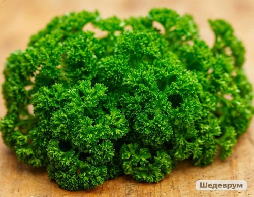 Петрушканы кулланырга кирәк