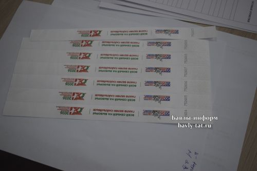 Баулы авылларында сайлаулар бара