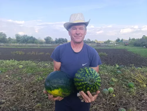 Баулы районында яшәүче Марат Вәлитов карбыз үстерергә ярата