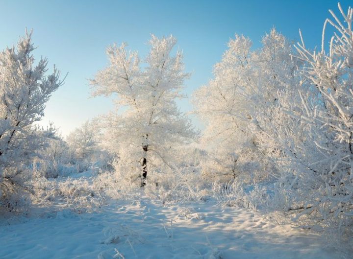 20 декабрьгә һава торышы