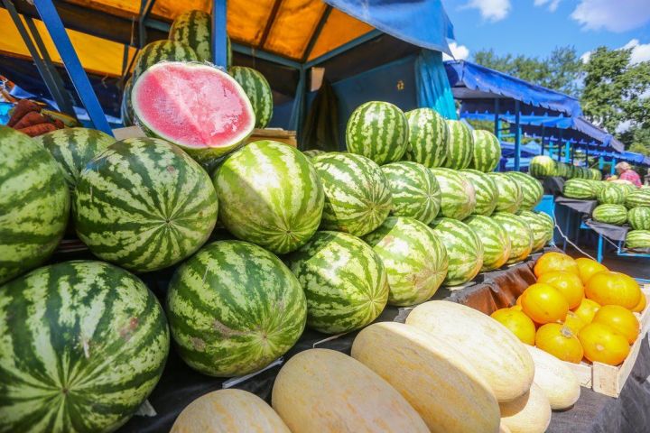 Специалисты Роспотребнадзора по Татарстану рассказали, как правильно выбирать и покупать арбуз и дыню