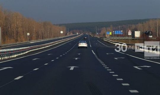 Строительство скоростной автодороги М12 Москва – Казань не потребует дополнительной вырубки деревьев